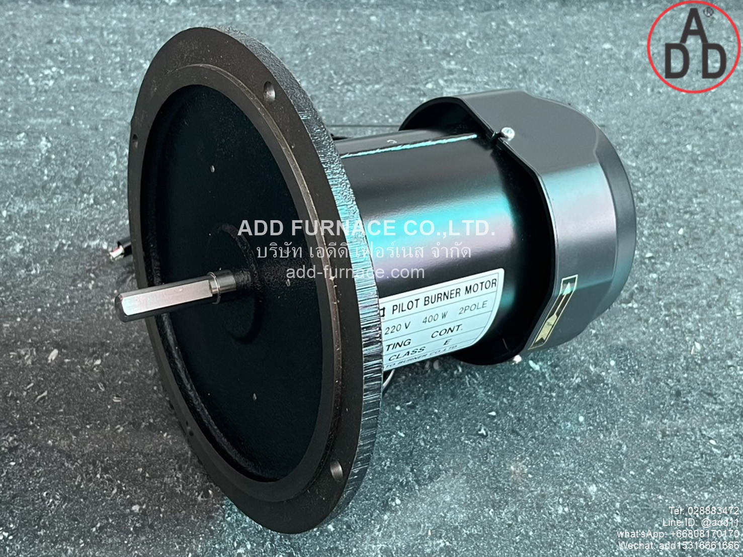Pilot Burner Motor 220V 200W 2Pole (8)